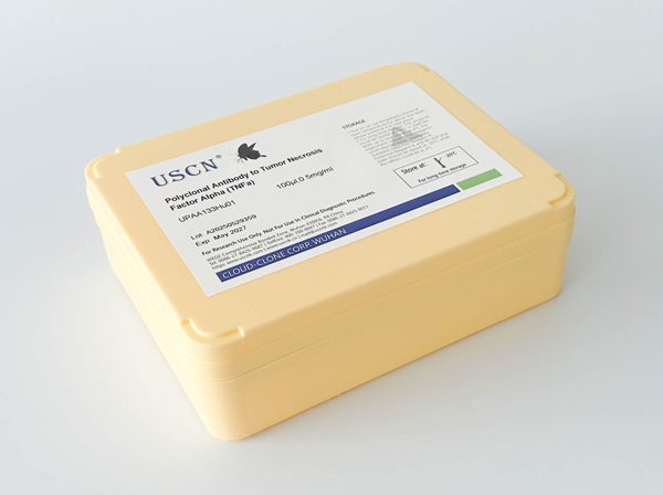 腦啡肽酶(CD10)多克隆抗體