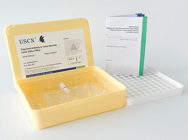 腦啡肽酶(CD10)多克隆抗體